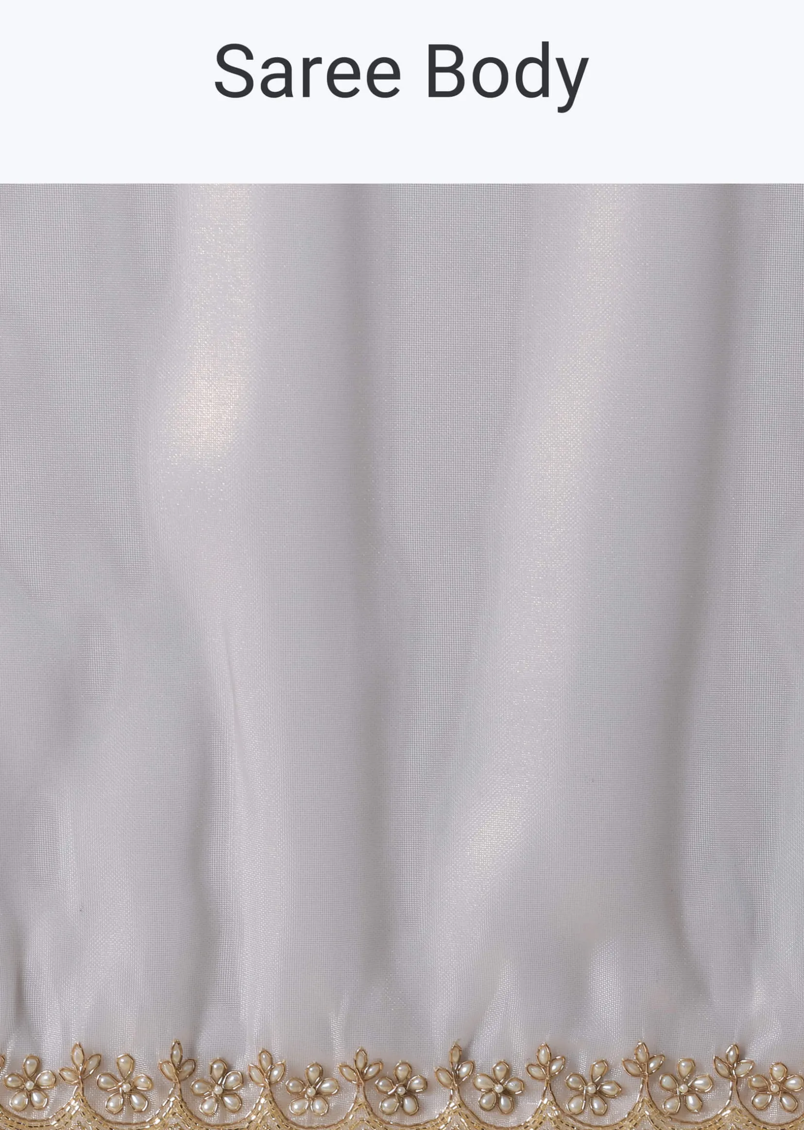 Cloud Grey Foil Saree In Tissue With Cut Dana Embroidered Borders