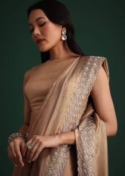 Copper Tissue Cutdana And Stone Embroidered Saree
