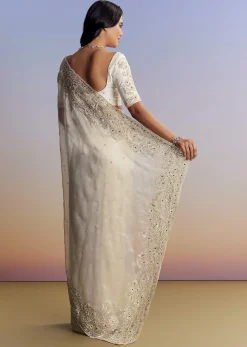 Cream Tissue Saree With Sequins Floral Embroidery