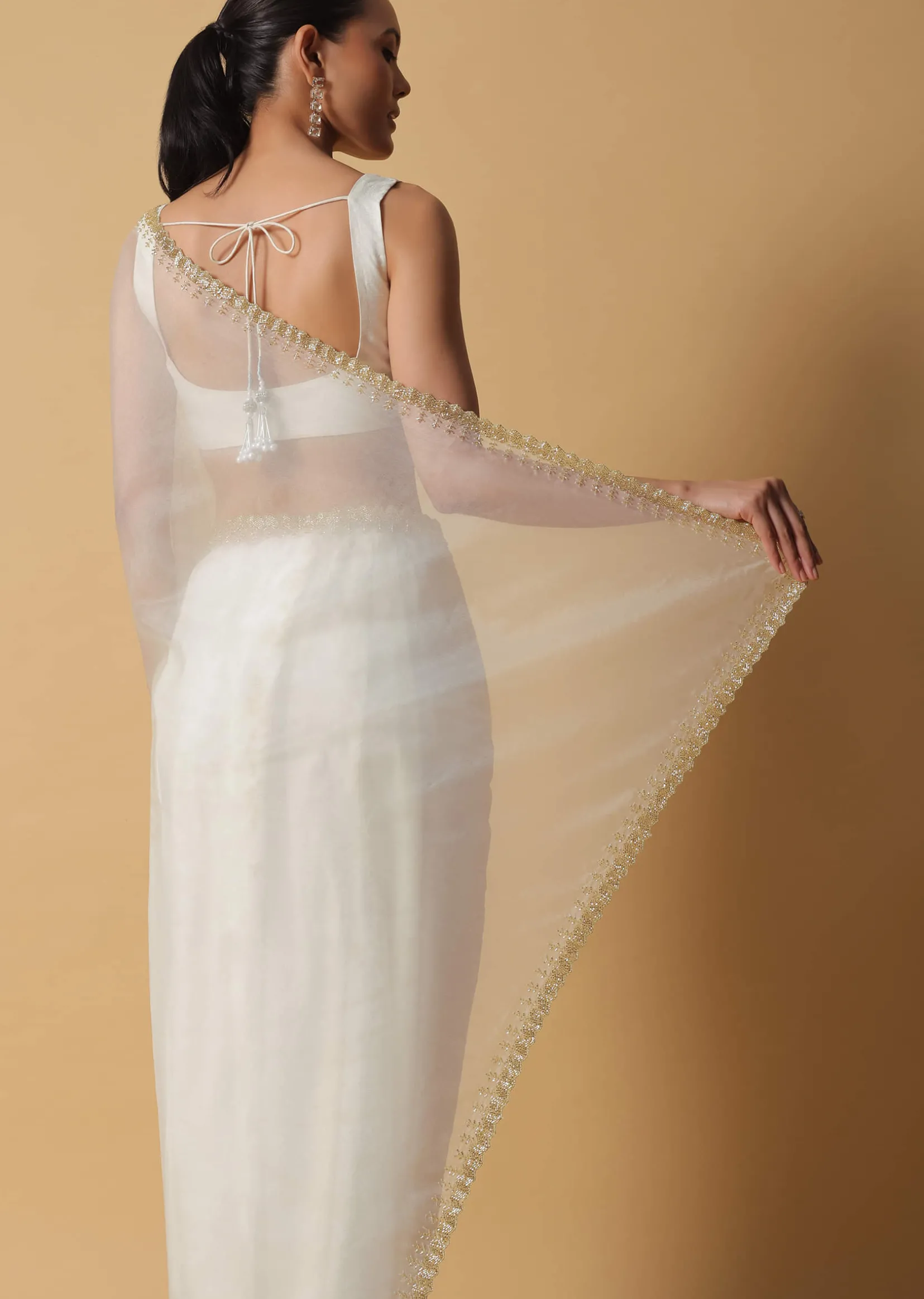 Daisy White Organza Saree In With Cut Dana Embroidered Borders