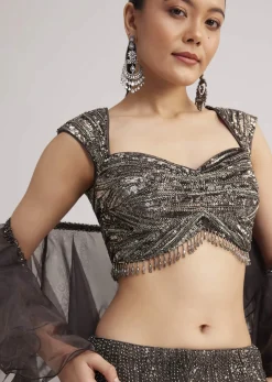 Dark Brown Sequins Mermaid Lehenga Set