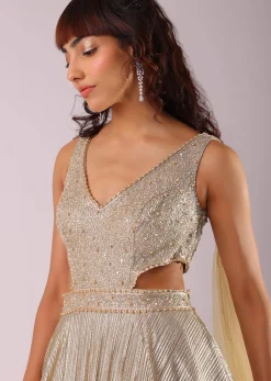 Glam Gold Embroidered Gown In Knit Fabric With Net Trail Wings