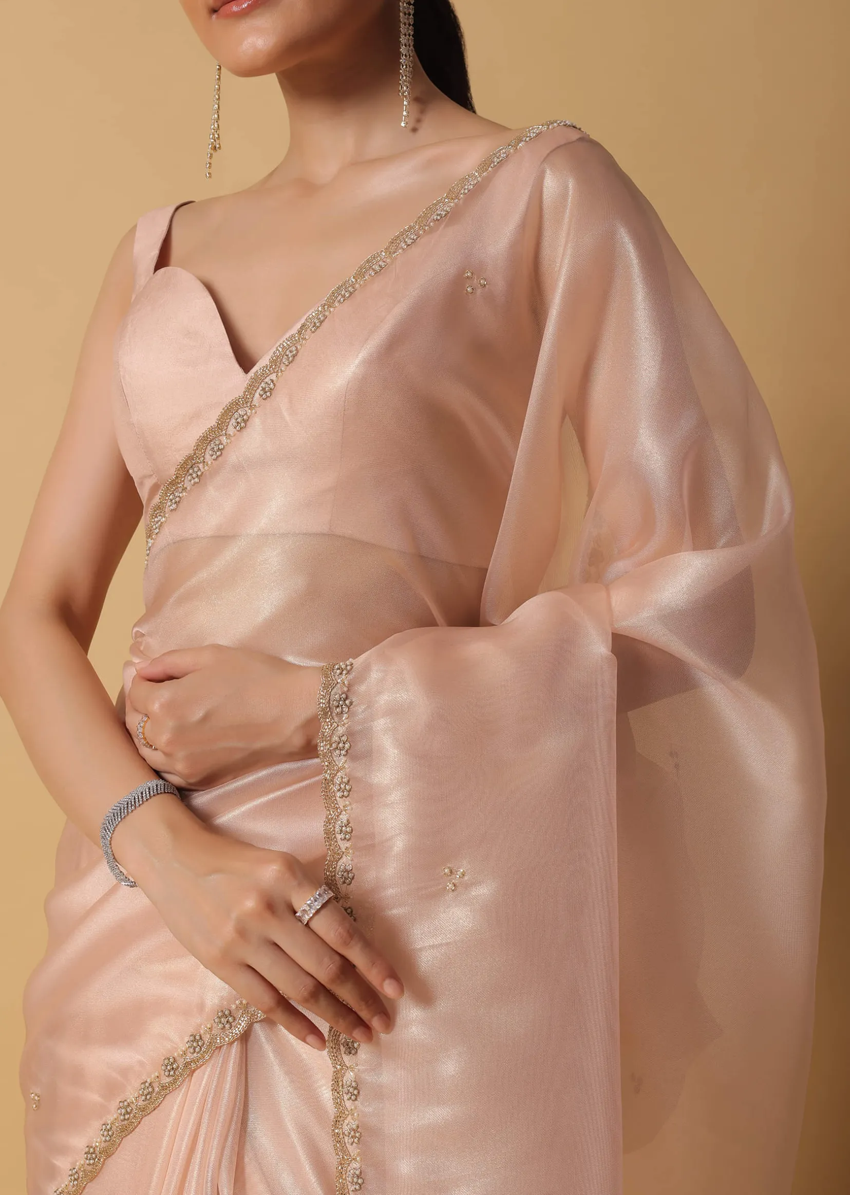 Gold And Brown Toned Saree In Tissue With Cut Dana Embroidered Borders