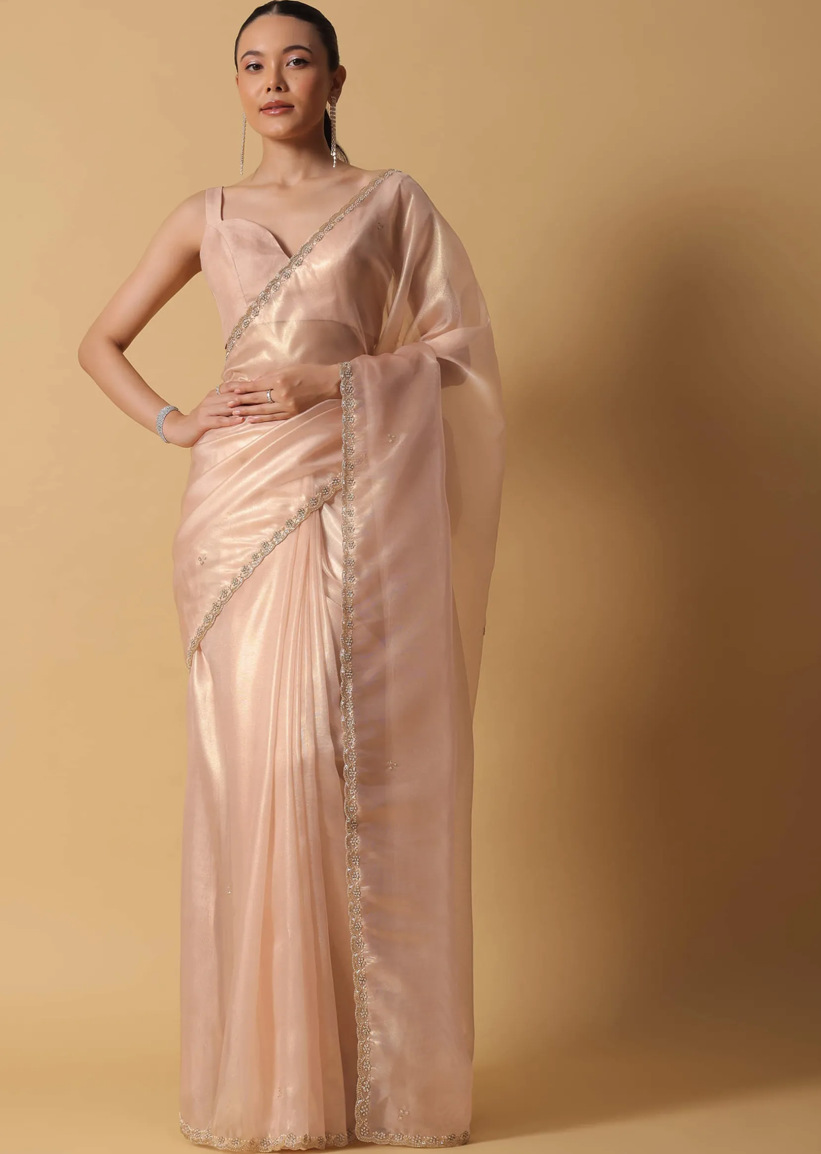 Gold And Brown Toned Saree In Tissue With Cut Dana Embroidered Borders