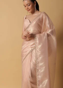 Gold And Brown Toned Saree In Tissue With Cut Dana Embroidered Borders