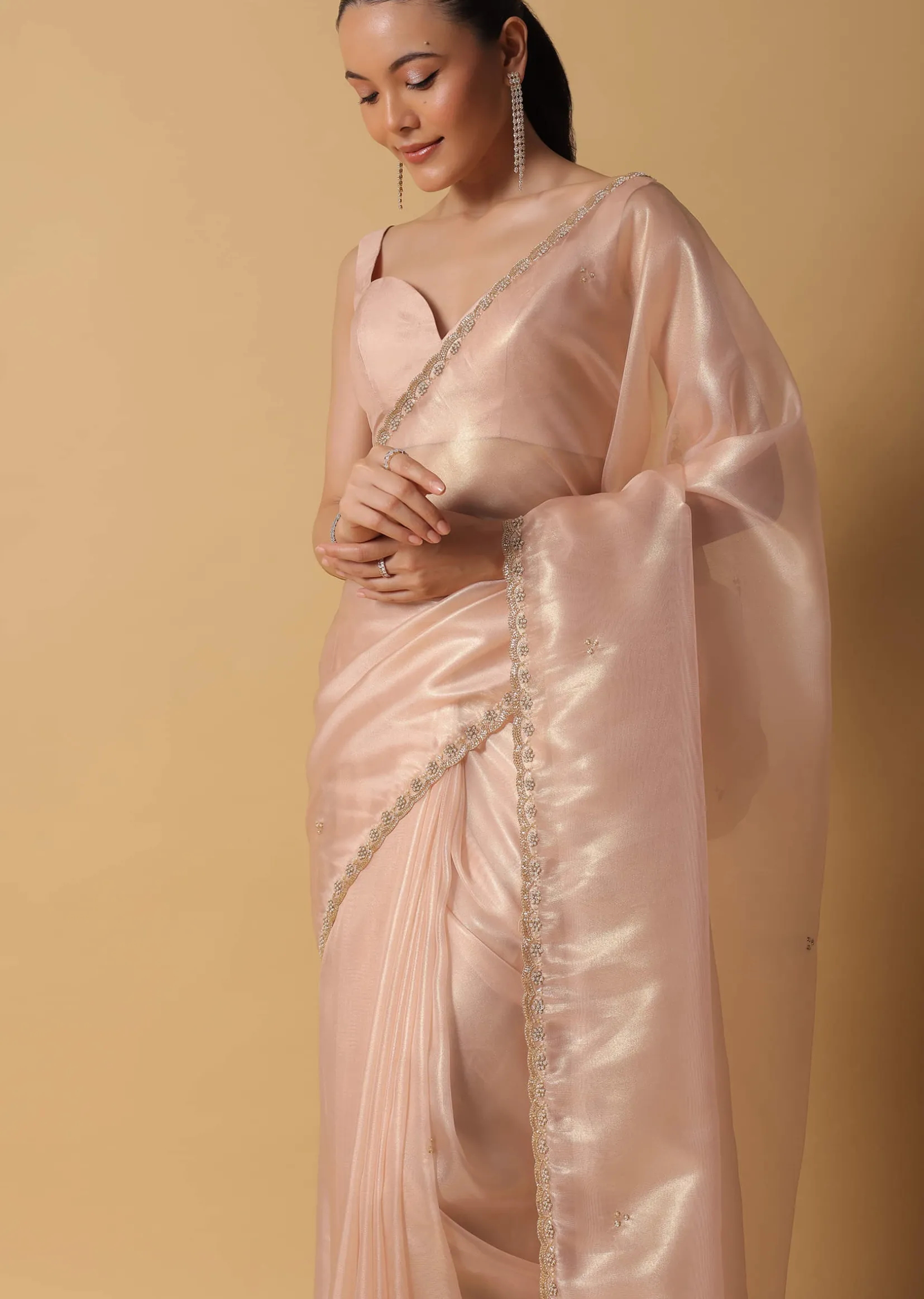 Gold And Brown Toned Saree In Tissue With Cut Dana Embroidered Borders