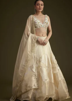 Gold And White Net Embroidered Lehenga Set With Organza Dupatta