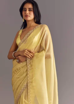 Gold Glossy Tissue Saree With Floral Cutdana And Moti Embroidery