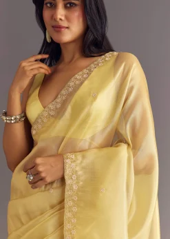 Gold Glossy Tissue Saree With Floral Cutdana And Moti Embroidery