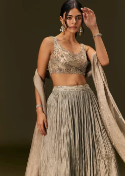 Gold Organza Lehenga Dupatta Set With Embellishments