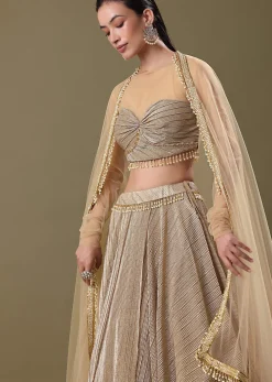 Gold Pre Pleated Lehenga With Dupatta