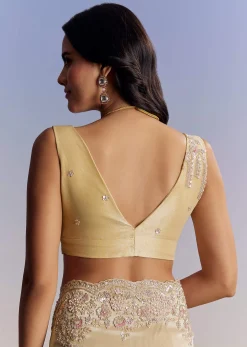 Gold Tissue Saree With Cut Dana Embroidery