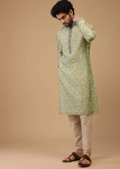 Green Handwoven Silk Printed Kurta Set
