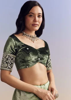 Green Tissue Saree With Velvet Blouse And Richly Embroidered Borders