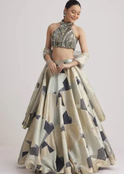 Grey And Gold Net Embroidered Lehenga Set