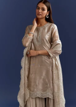 Grey Cutdana And Sequins Kurta With Stone Work Dupatta In Tissue