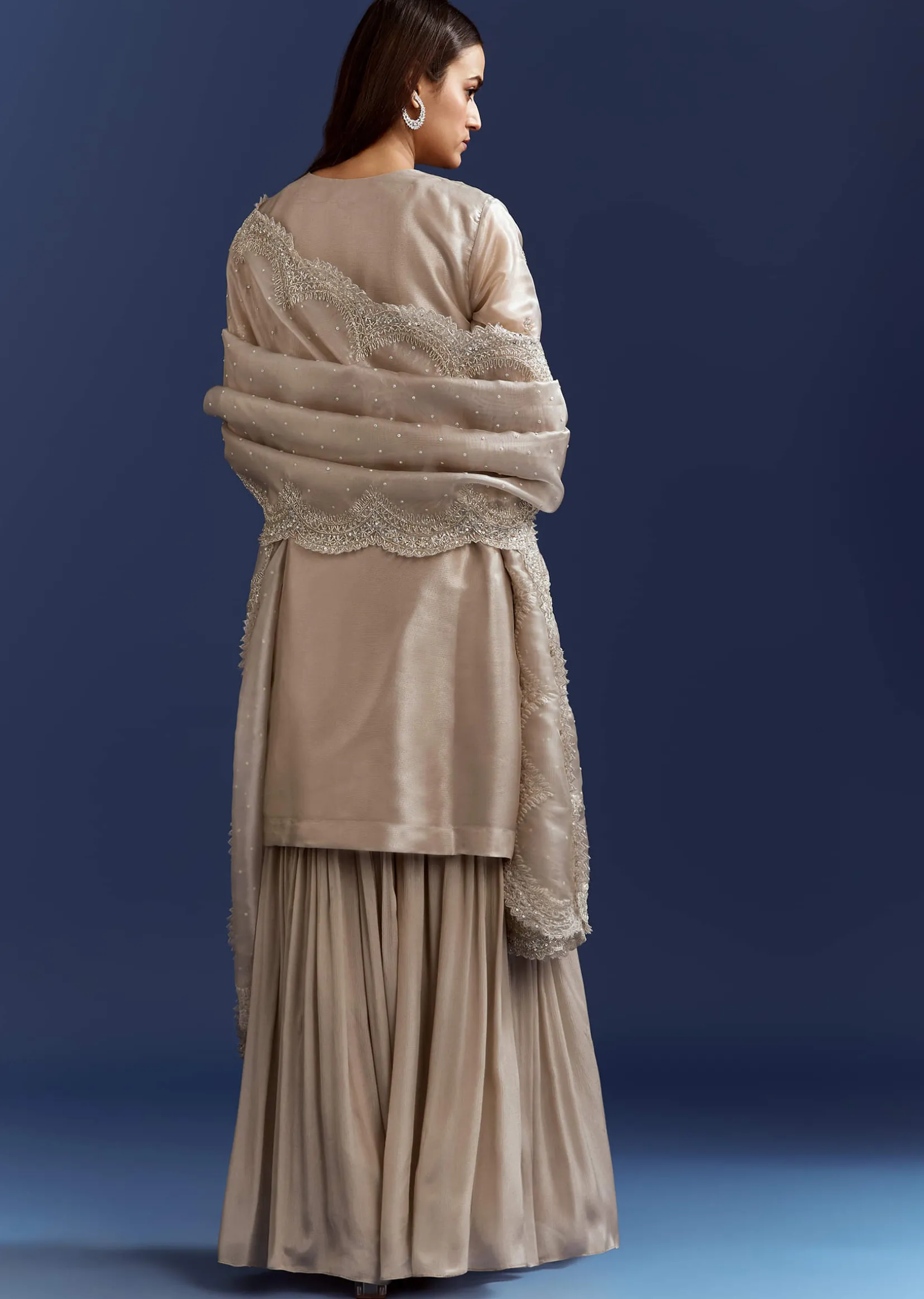 Grey Cutdana And Sequins Kurta With Stone Work Dupatta In Tissue