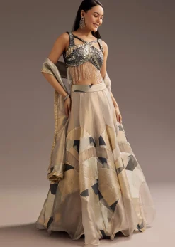 Grey Lurex Glitter Lehenga With Organza Dupatta