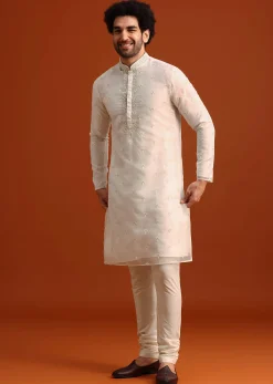 Ivory Organza Zari Embroidered Kurta Set With Butti Work