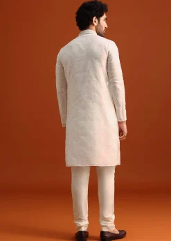 Ivory Organza Zari Embroidered Kurta Set With Butti Work