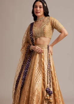 Light Brown Banarasi Silk Lehenga Set With Zardosi Work