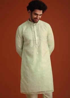 Light Green Organza Aligarhi Kurta With Zari Embroidery