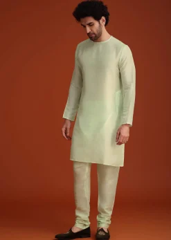 Light Green Organza Aligarhi Kurta With Zari Embroidery