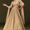 Light Peach Banarasi Silk Lehenga Dupatta With Embroidered Blouse