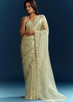 Light Pista Organza Saree With Floral Cutdana And Stone Embroidery