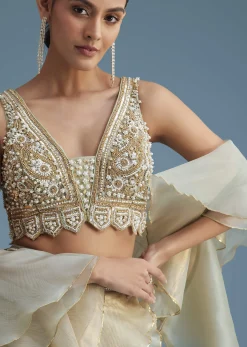 Mint Green Organza Layered Lehenga Set