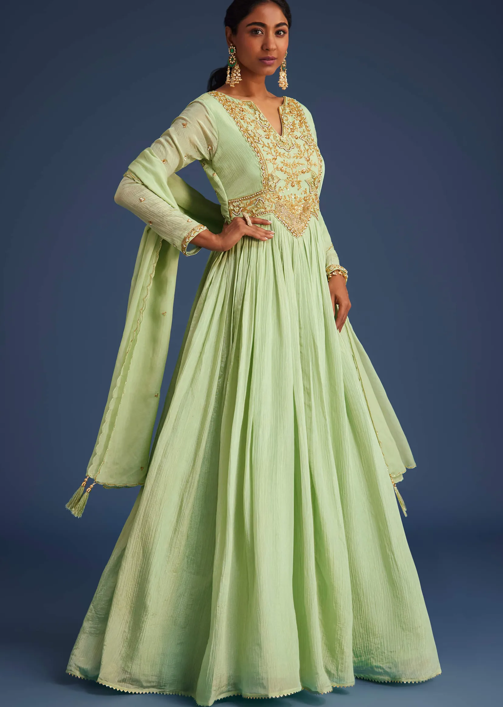 Mint Green Tissue Embroidered Anarkali With Dupatta