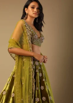 Moss Green Lehenga Choli With Multi Colored Hand Embroidered Floral Buttis