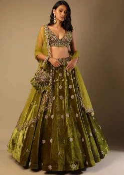 Moss Green Lehenga Choli With Multi Colored Hand Embroidered Floral Buttis