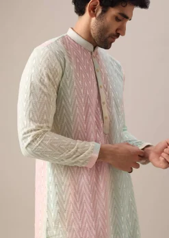 Multi Color Lucknowi Kurta Set With Sequin Work