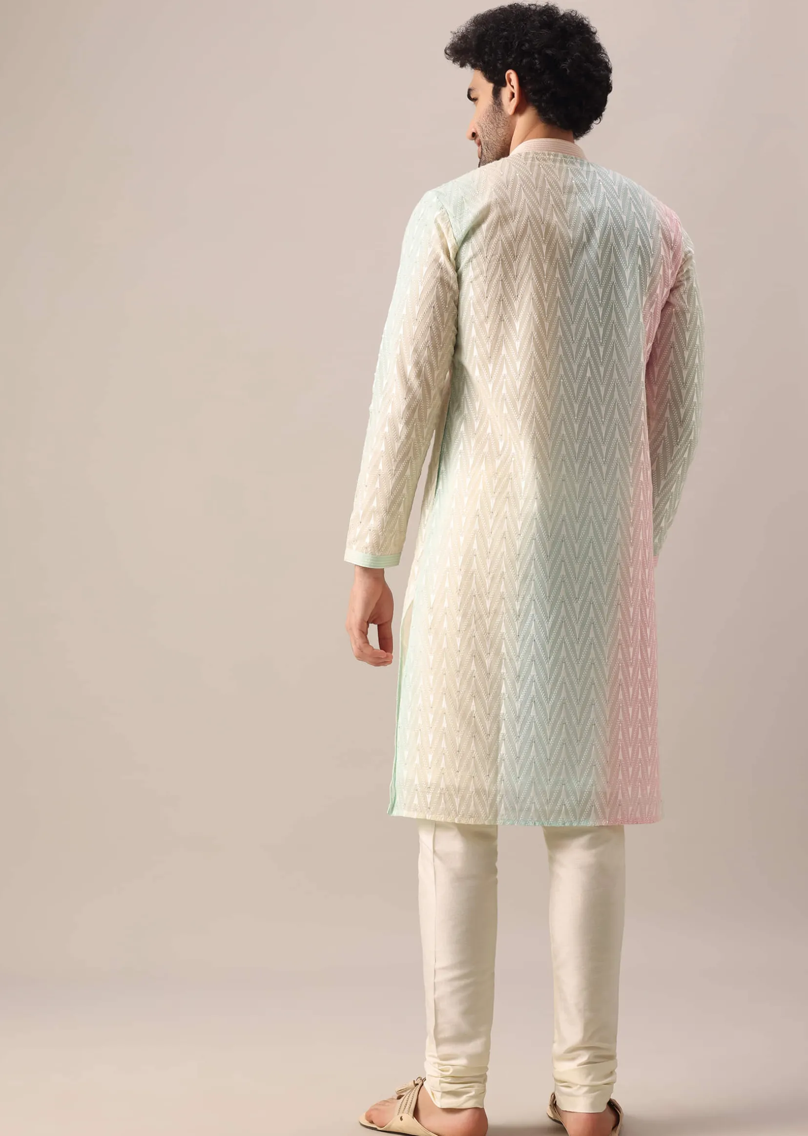 Multi Color Lucknowi Kurta Set With Sequin Work