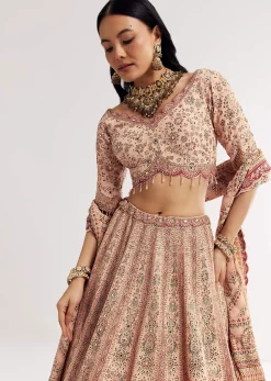 Multicolour Printed Stone Cutdana Embroidered Lehenga With Crepe Dupatta