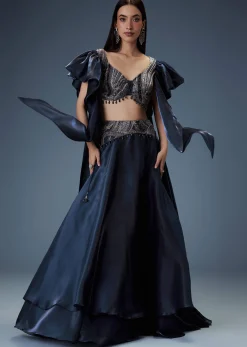 Navy Blue Organza Butterfly Blouse With Skirt