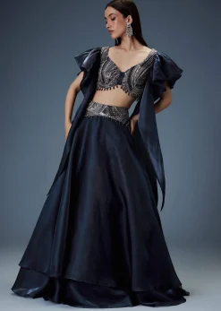 Navy Blue Organza Butterfly Blouse With Skirt
