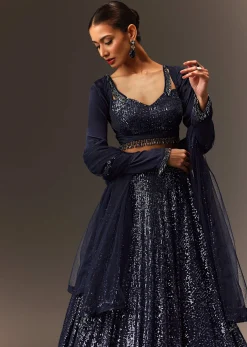 Navy Blue Tie Up Blouse And Embroidered Lehenga With Detailed Border Dupatta