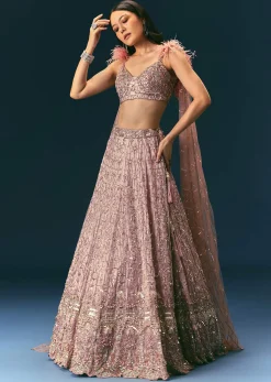 Onion Organza Lehenga And Blouse Set With Choker Dupatta