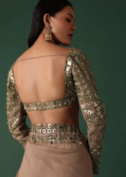 Onion Pink Foil Printed Saree And Blouse In Organza