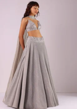 Oyster Grey Embroidered Lehenga Set In Knit With Choker Dupatta