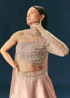 Oyster Organza Embroidered Lehenga Set With Dupatta