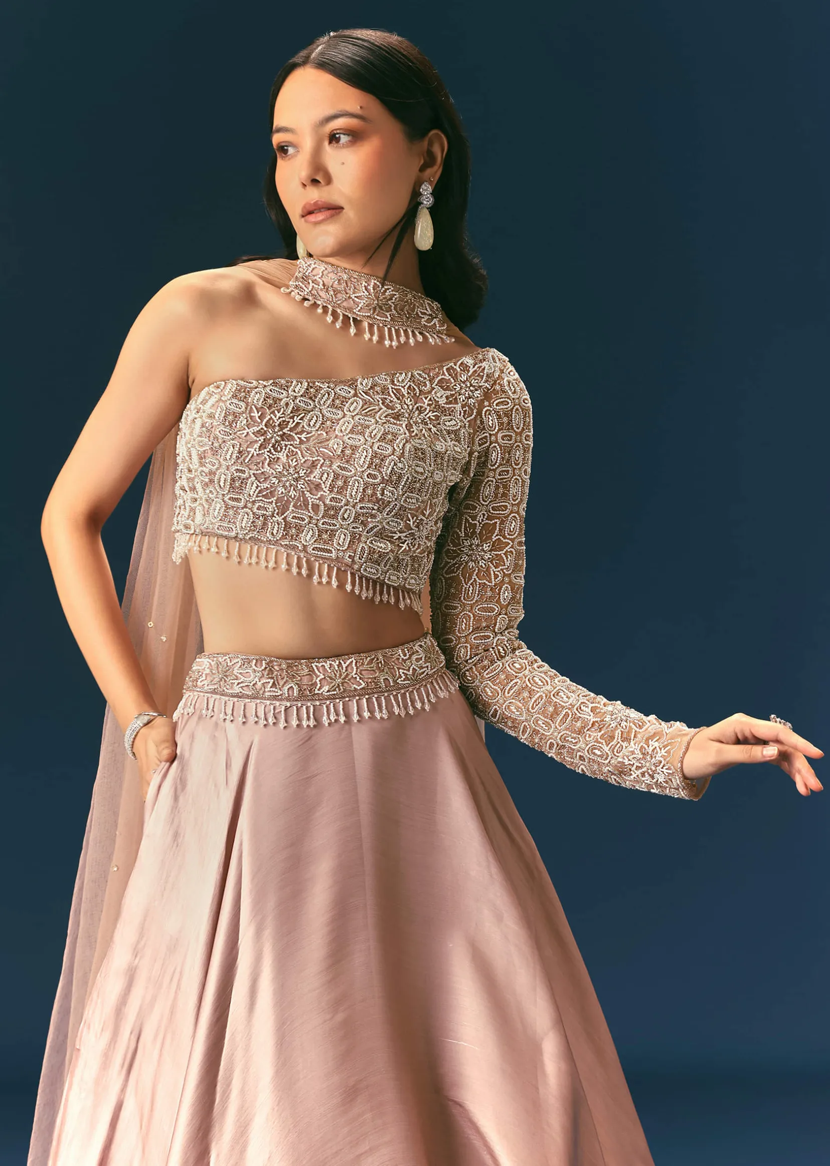 Oyster Organza Embroidered Lehenga Set With Dupatta