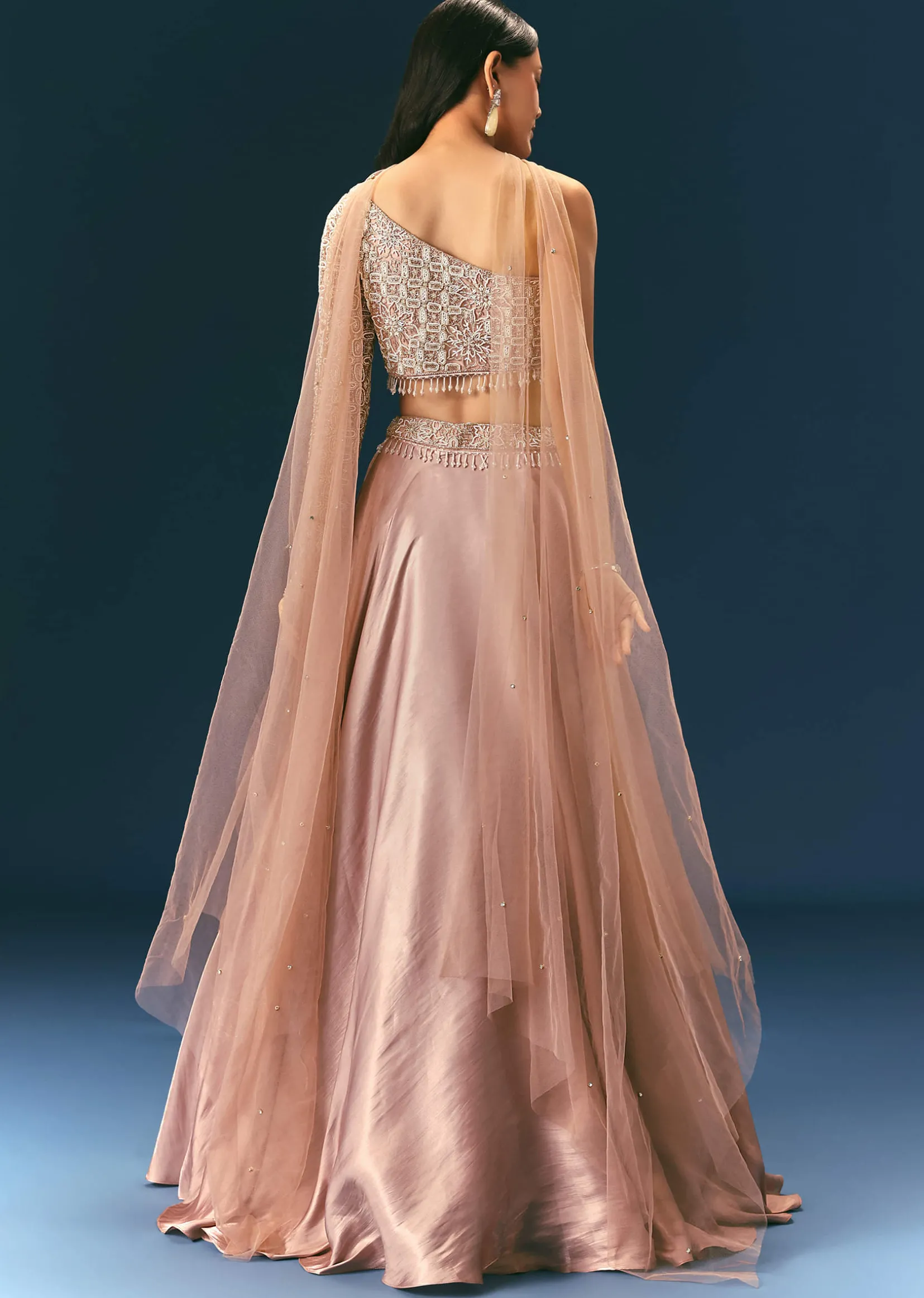 Oyster Organza Embroidered Lehenga Set With Dupatta