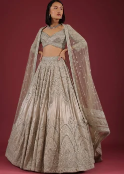Oyster Organza Lehenga With Cut Dana Embroidery, Crop Top Comes In 3/4Th Sleeves With A Deep V Neckline