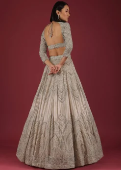 Oyster Organza Lehenga With Cut Dana Embroidery, Crop Top Comes In 3/4Th Sleeves With A Deep V Neckline