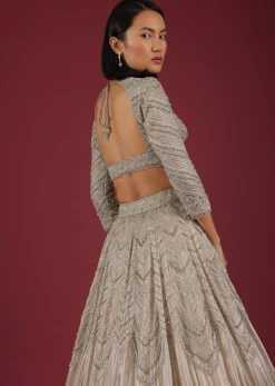 Oyster Organza Lehenga With Cut Dana Embroidery, Crop Top Comes In 3/4Th Sleeves With A Deep V Neckline