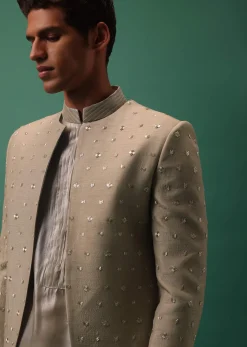 Oyster-Shaded Detailed Organza Kurta Set With Embroidered Jacket