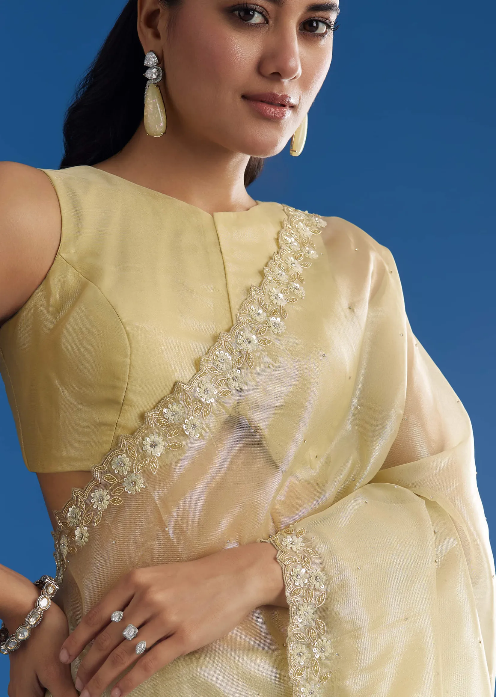 Pastel Green Glass Tissue Saree With Floral Embroidery And Cutwork Border